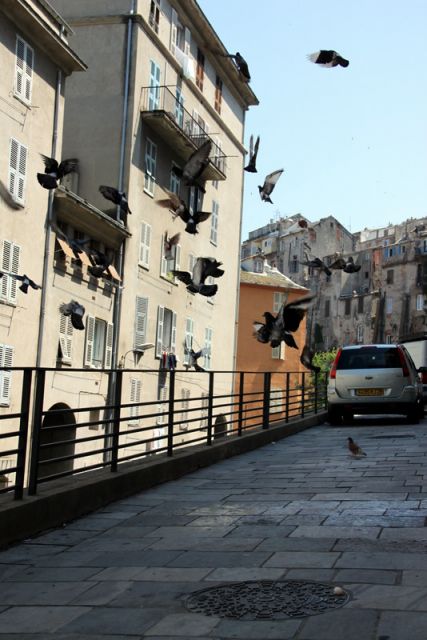 2010 07 04 jeanmarcperfetti.com 115.JPG